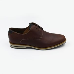 Zapatos Dauss Hombres 5101N